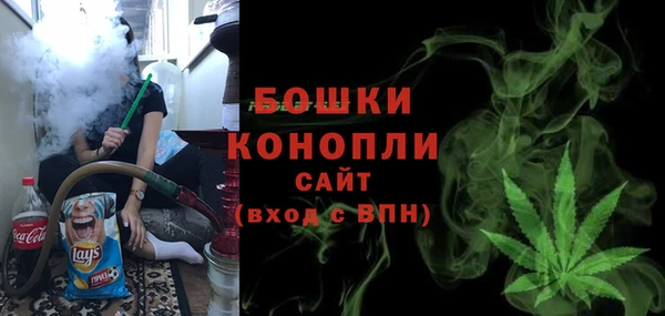 индика Белоозёрский