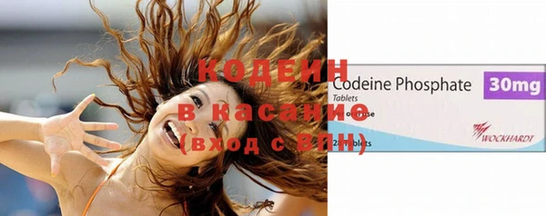 индика Белоозёрский