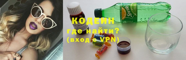 индика Белоозёрский