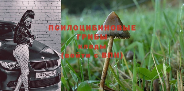 индика Белоозёрский