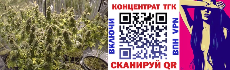 Купить где  Партизанск  Дистиллят ТГК THC oil 