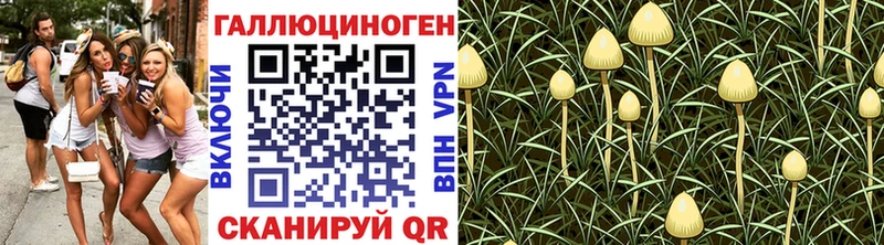 Купить закладки  Партизанск  Псилоцибиновые грибы ЛСД 