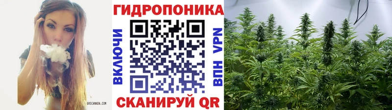 Бошки Шишки план Партизанск